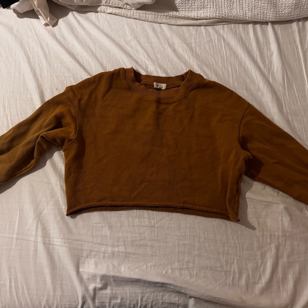 Women's Brown Cropped Sweater